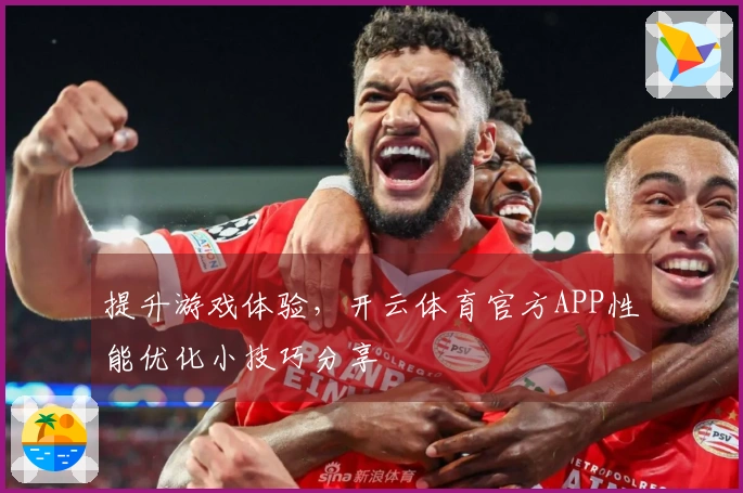 提升游戏体验，开云体育官方APP性能优化小技巧分享